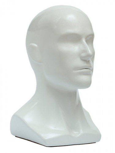 Г-402 beauty Манекен головы мужской глянец