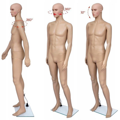 8683dc3d4aa69c240044376d1506